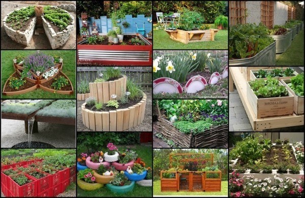 How to urban garden
